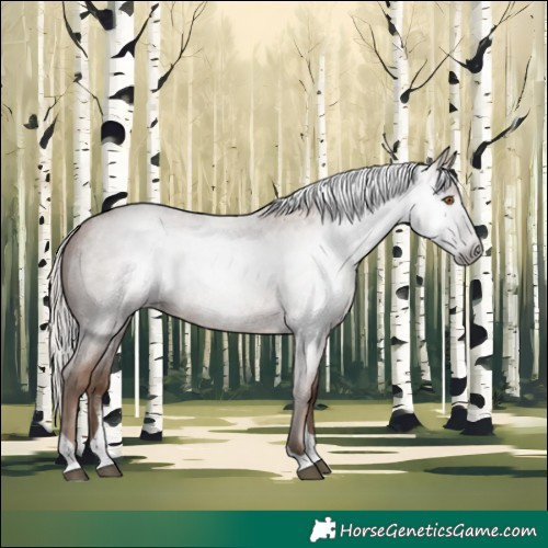 Horse Color:Gray Silver Blue Roan Pearl Tobiano 