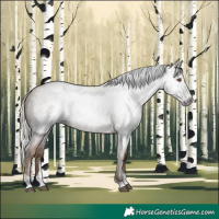 Horse Color:Gray Silver Blue Roan Pearl Tobiano 