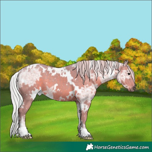 Horse Color:Watercolor White Spotted Silver Black Ice 