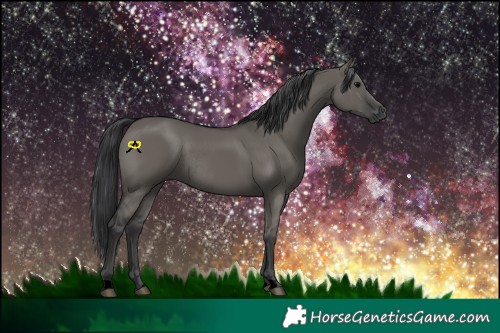 Horse Color:Void Grullo Rabicano 