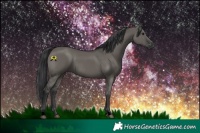 Horse Color:Void Grullo Rabicano