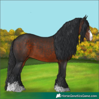 Horse Color:Brown Sabino