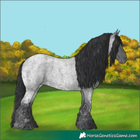Horse Color:Blue Ice Roan