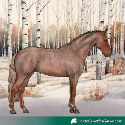 Horse Color:Red Roan 