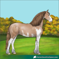 Horse Color:Black Pearl Sabino