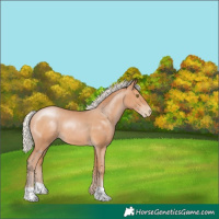 Horse Color:Silver Brown Pearl