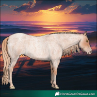 Horse Color:Gold Champagne Roan 