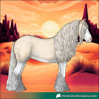 Horse Color:Palomino Roan Splash 