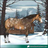 Horse Color:Bay Blanket  and Buckskin 