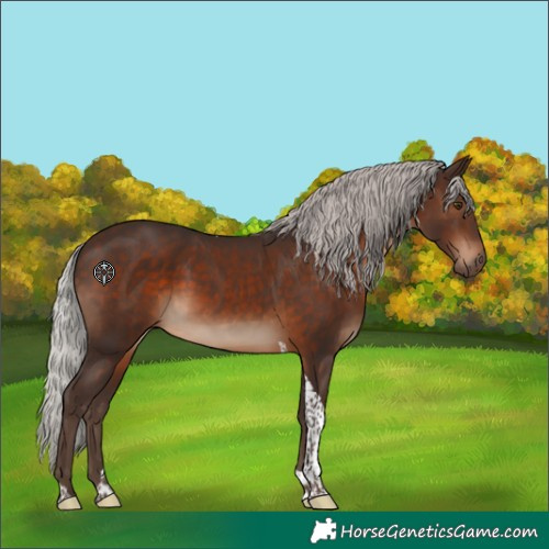 Horse Color:Silver Brown Tobiano 