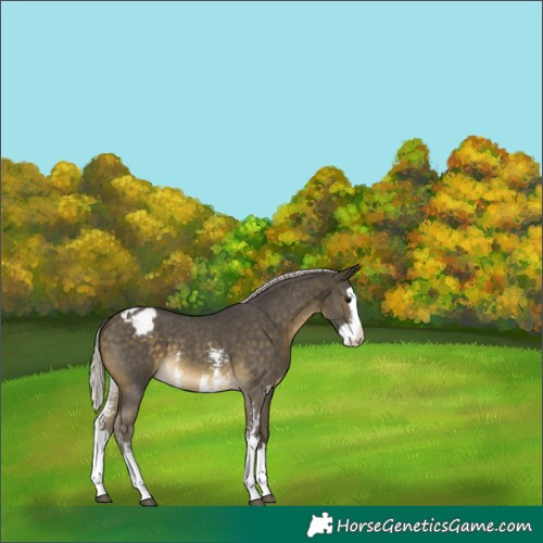 Horse Color:Silver Buckskin Sabino Splash Varnish 