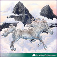 Horse Color:Gray Chestnut 
