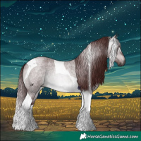 Horse Color:Gray Platinum Chocolate Brown Roan Dun Tobiano