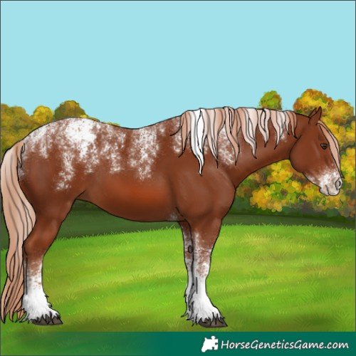 Horse Color:Powder White Chestnut 