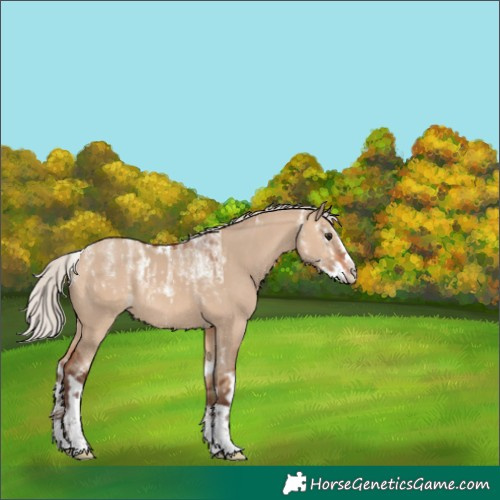 Horse Color:Powder White Silver Bay Dun Splash and Powder White Silver Brown Dun Sabino Splash