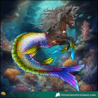 Horse Color:Gray White Spotted Silver Brown Rabicano 