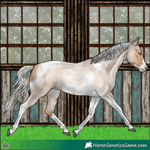 Horse Color:Silver Blue Roan Pearl Tobiano Frame 