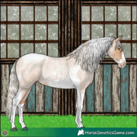 Horse Color:Silver Blue Roan Pearl Tobiano Frame