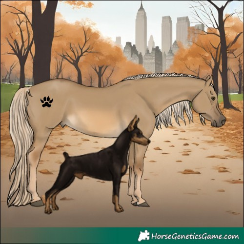 Horse Color:Chocolate Palomino Dun 