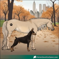 Horse Color:Chocolate Palomino Dun 