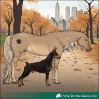 Horse Color:Chocolate Palomino Dun 