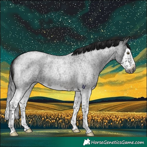 Horse Color:Gray Brown Roan Splash Rabicano