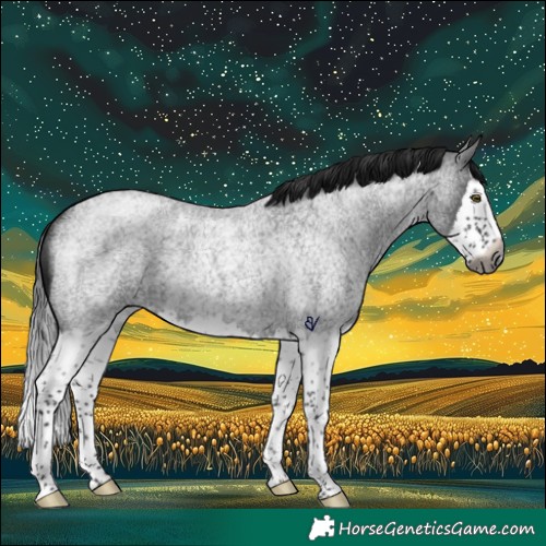 Horse Color:Gray Brown Roan Splash Rabicano 