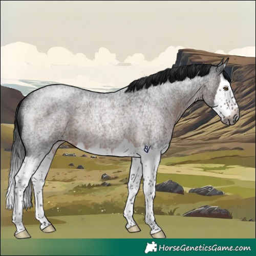Horse Color:Gray Brown Roan Splash Rabicano 