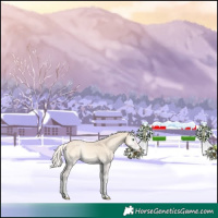 Horse Color:Void Cremello Onyx 