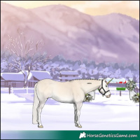 Horse Color:Void Cremello Onyx 