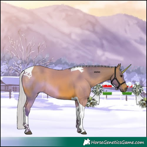 Horse Color:Watercolor Silver Brown Tobiano 