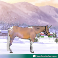 Horse Color:Watercolor Silver Brown Tobiano