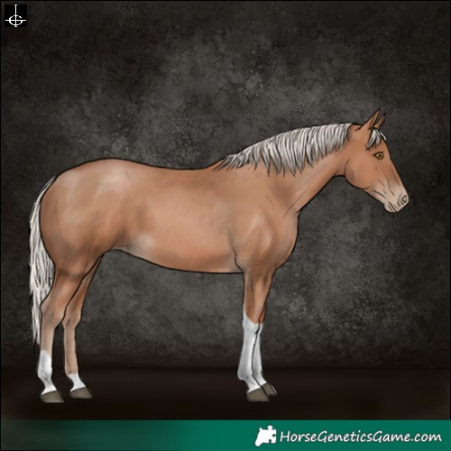 Horse Color:Silver Black Pearl Tobiano 