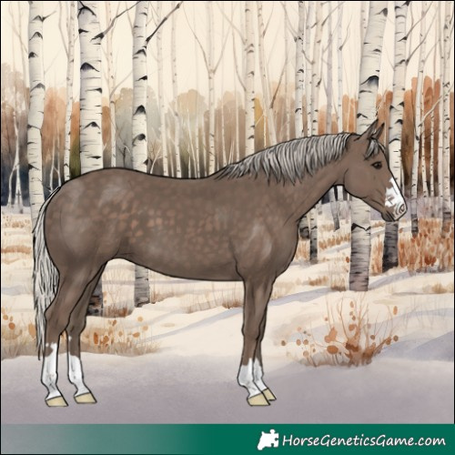 Horse Color:Silver Black