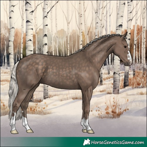 Horse Color:Silver Black 