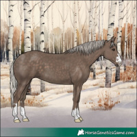 Horse Color:Silver Black 