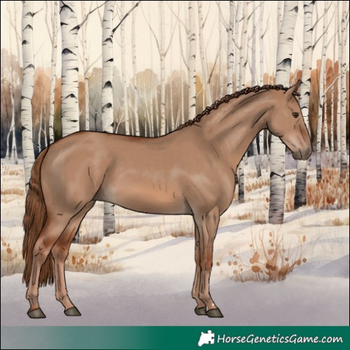 Horse Color:Red Dun 