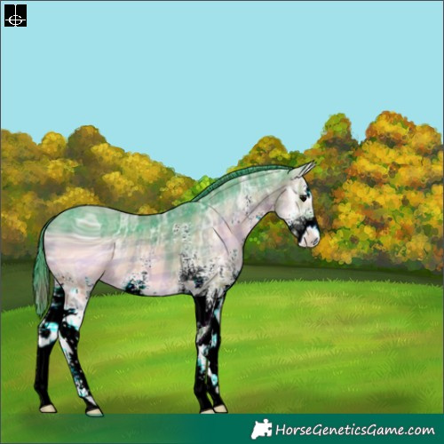 Horse Color:ERROR: UNKNOWN ANOMALY