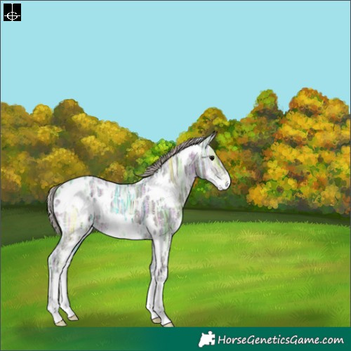 Horse Color:White Spotted Silver Black Ice Sabino 