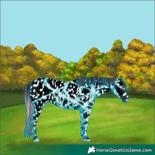 Horse Color:Void Platinum Painted Thunderstruck Cremello Ice Onyx Appaloosa 