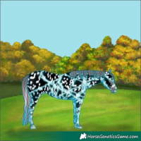 Horse Color:Void Platinum Painted Thunderstruck Cremello Ice Onyx Appaloosa 