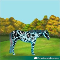 Horse Color:Void Platinum Painted Thunderstruck Cremello Ice Onyx Appaloosa