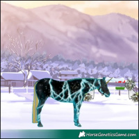 Horse Color:Void Platinum Painted Thunderstruck Midnight Palomino Ice Onyx Appaloosa