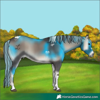 Horse Color:Painted Smoky Blue Onyx Tobiano 