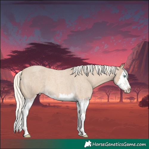 Horse Color:Cremello Roan Splash 