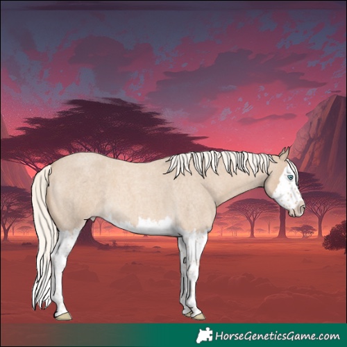 Horse Color:Cremello Roan Splash 