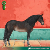 Horse Color:Brown Tobiano 