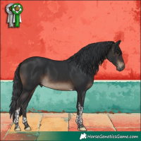 Horse Color:Brown Tobiano 