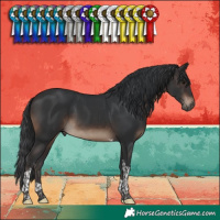 Horse Color:Brown Tobiano 