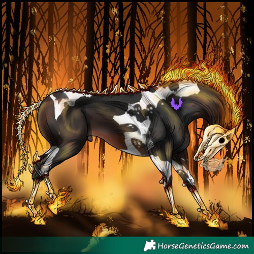 Horse Color:Brown Tobiano